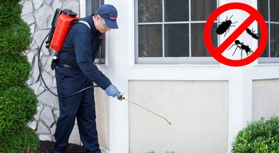 Yıldırım Dezenfeksiyon böcek ilaçlama ve haşere kontrolü — ilaclama-tr.com